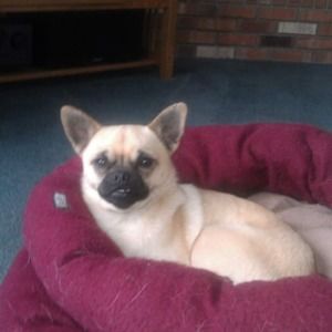 Meet your Posher, Carole